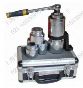 Ť�����ֱ�����2000ţ��