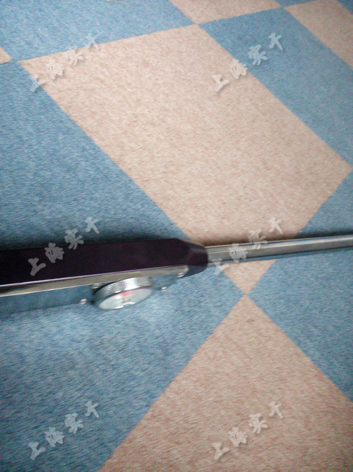 ��ʽŤ������